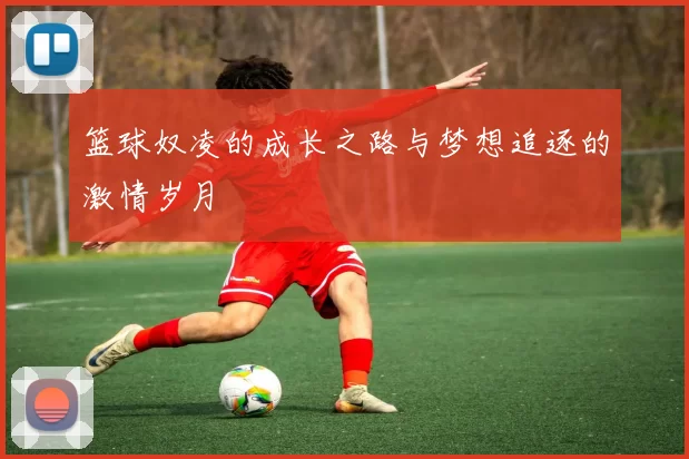 篮球奴凌的成长之路与梦想追逐的激情岁月