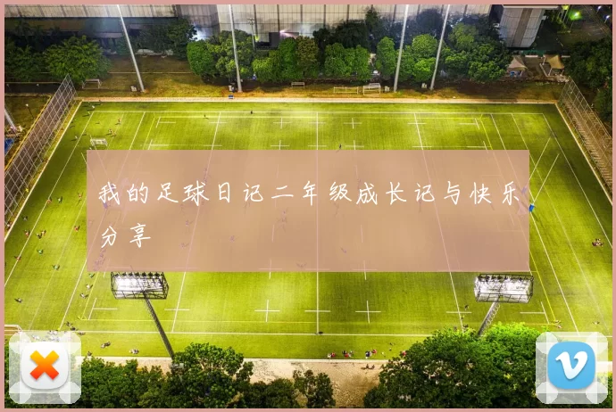 我的足球日记二年级成长记与快乐分享