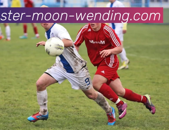 问鼎娱乐平台生态图